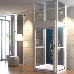 GEH100S glarie homelift
